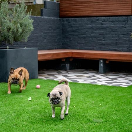 Doghouse Margate Bed & Breakfast Exterior foto