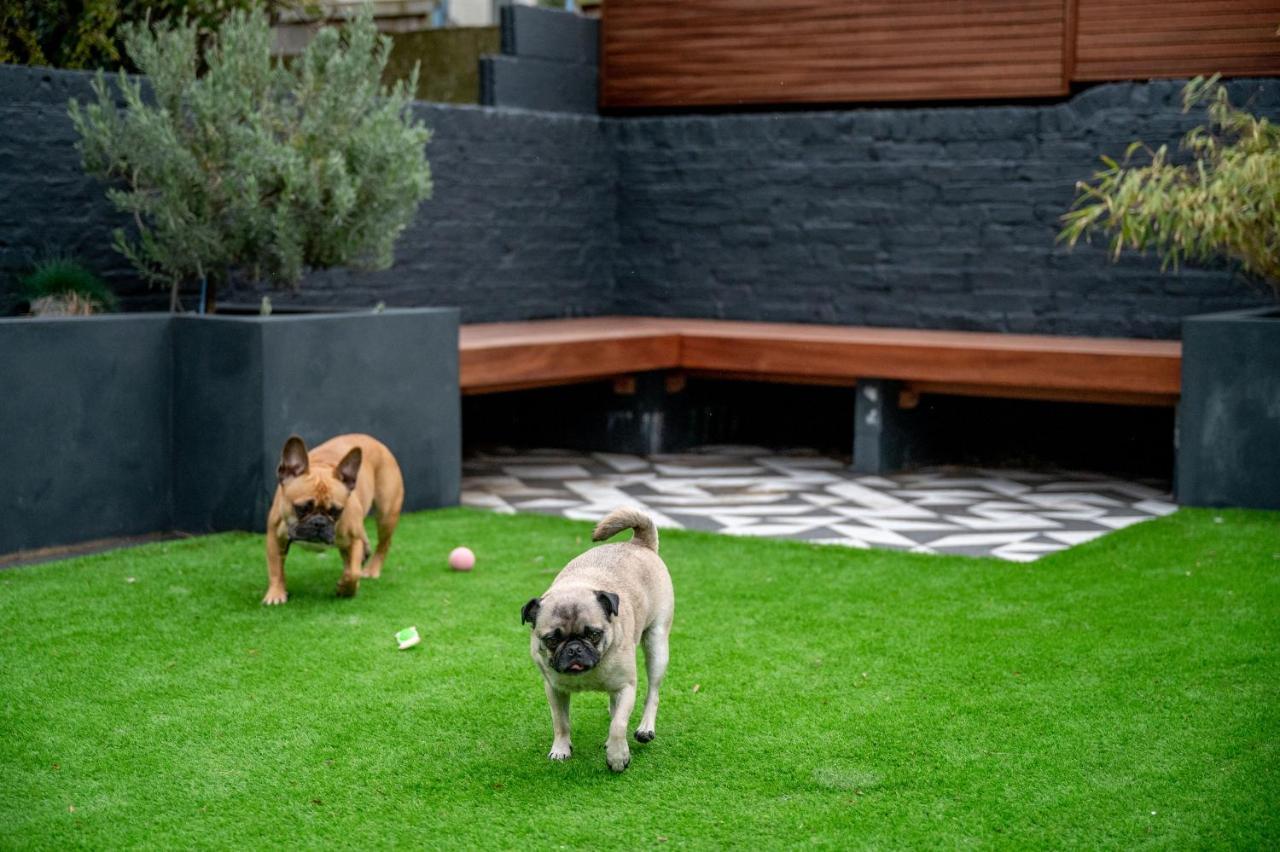 Doghouse Margate Bed & Breakfast Exterior foto